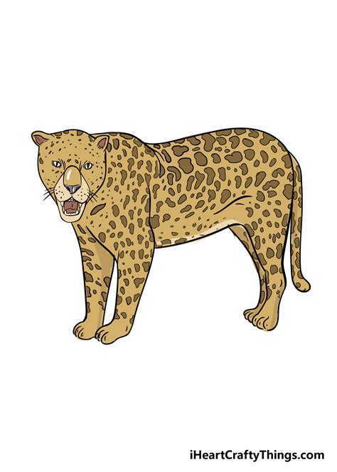 dessiner un jaguar